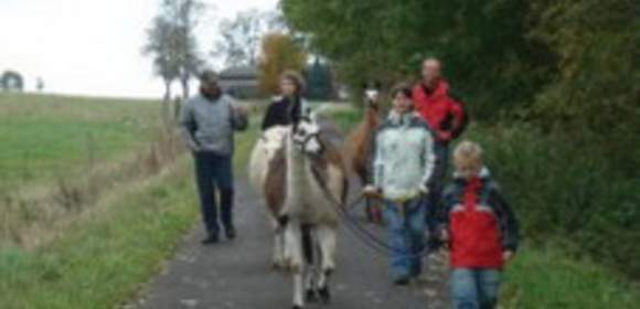 Lama-Wanderung im Vogelsberg – Europas größte