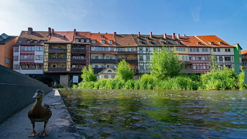 Städtetour Erfurt und Weimar