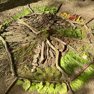 Naturerlebnis-/Entschleunigungstag für Teams