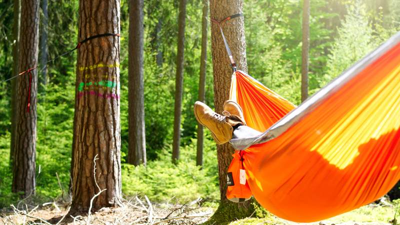 Baumzelt-Übernachtung: TEAM-Zeit im Wald