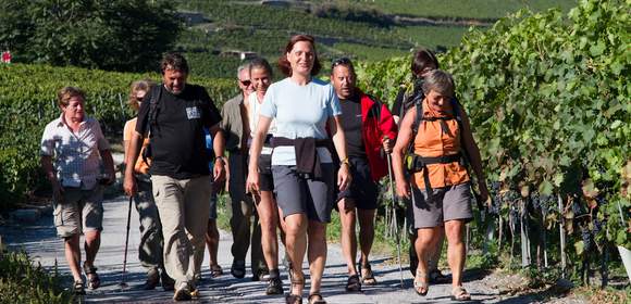 Wandern. Wein. Kultur. im Ahrtal