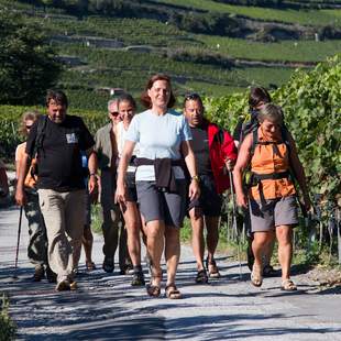 Wandern in den Weinbergen Wandern. Wein. Kultur. im Ahrtal
