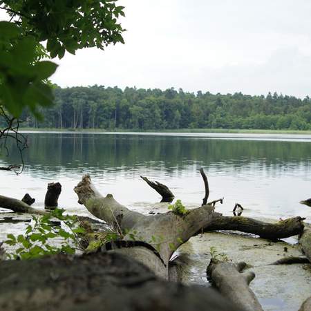 Tortentour über den Schaalsee