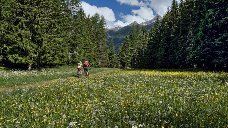 Mountainbike-Tour um den Blomberg