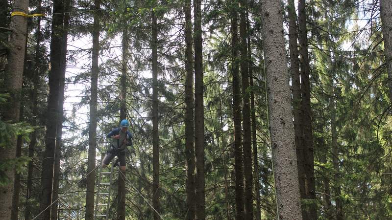 Wald-Seilgarten