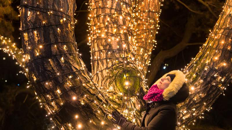 Weihnachstfeier im Christmas Garden