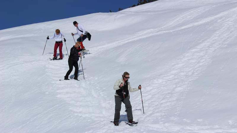 Team-Erlebnis im Schnee