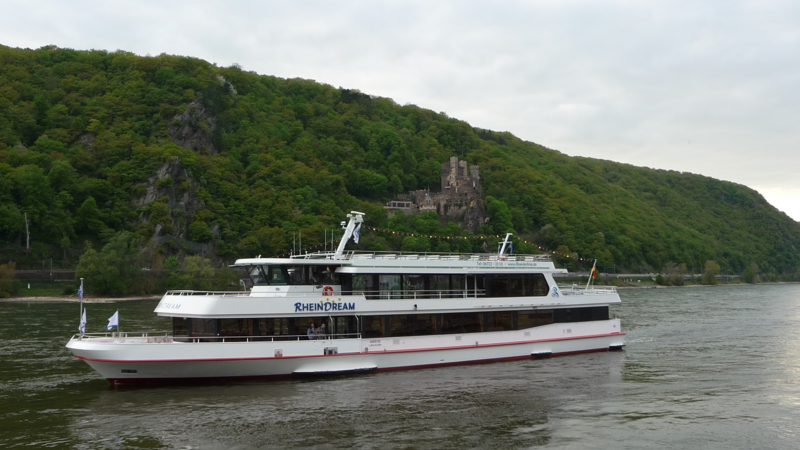 Rheingau mit Weinprobe und Burgenschifffahrt