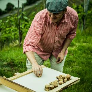 Weinsafari durch Stuttgarts Steinhalde