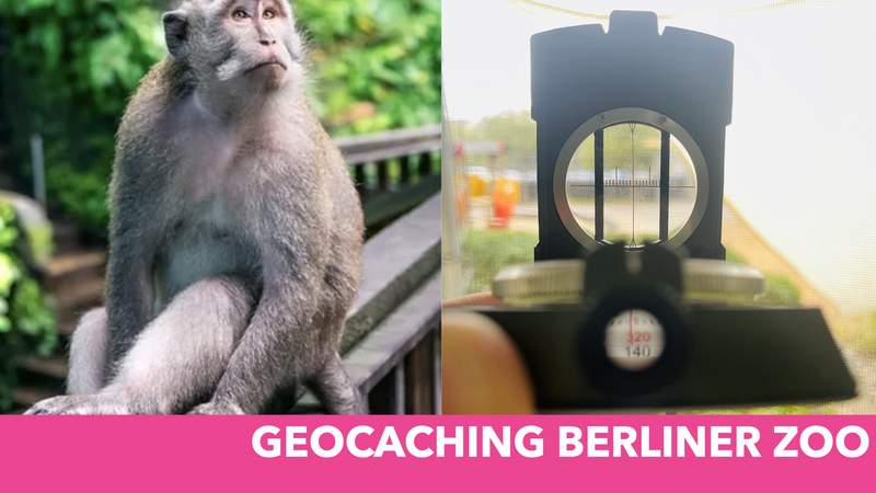 Geocaching im Berliner Zoo
