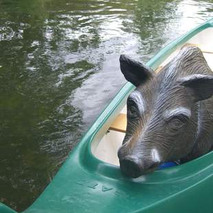 Auf Wildschweinjagd mit dem Kanu