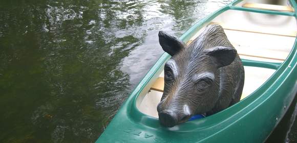 Auf Wildschweinjagd mit dem Kanu