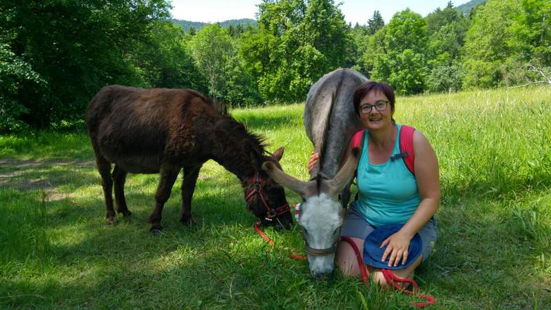 Eselwandern im Bayerischen Wald