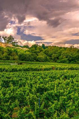 Betriebsausflug Rheinland-Pfalz