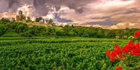 Rheinland-Pfalz Teamevent