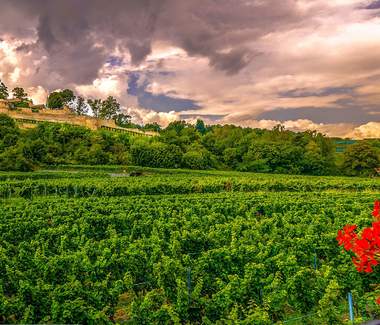 Betriebsausflug Rheinland-Pfalz