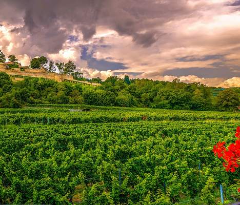 Betriebsausflug Rheinland-Pfalz