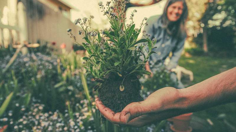 Firmen-Garten anlegen