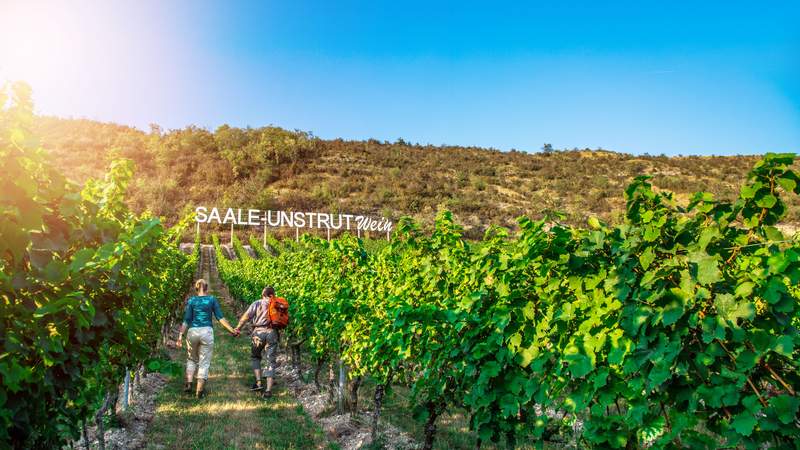 Betriebsausflug Thüringen: Entlang der Saale