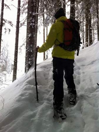 Schneeschuhwandern im Sauerland