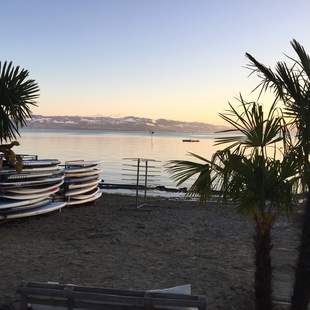 JGA auf dem Bodensee (SUP)