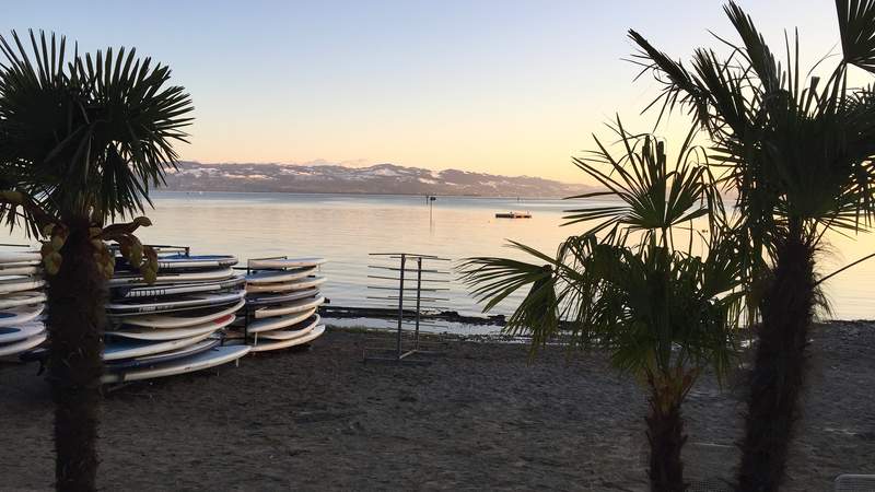 Stand up Paddling Tour & Beach BBQ