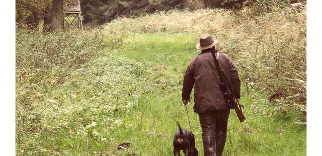 Wald & Weinwanderung