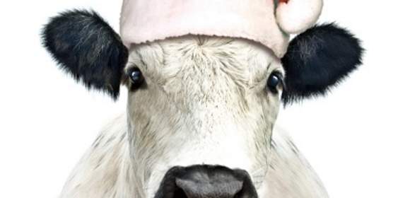 DER WEIHNACHTSBAUER