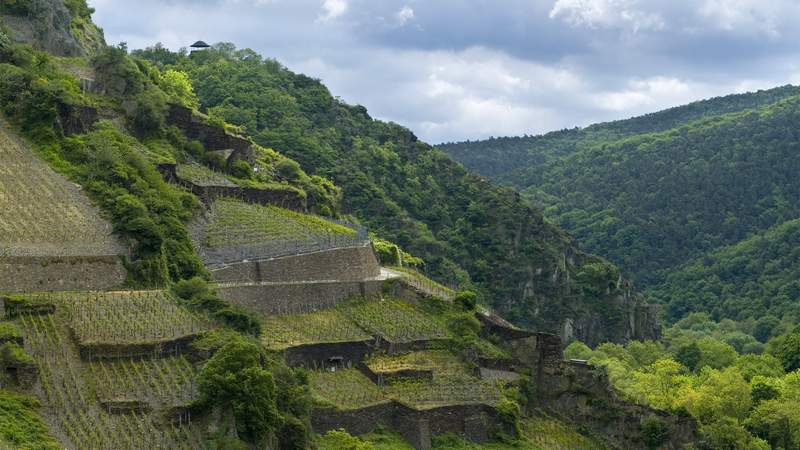 “Wein & Wandern” im Ahrtal