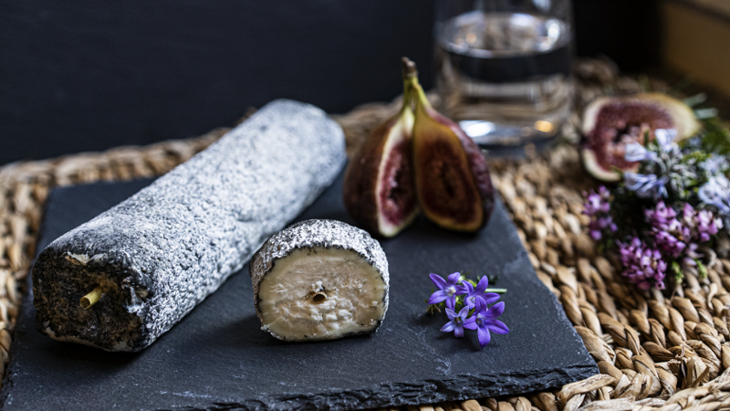Käsetasting online