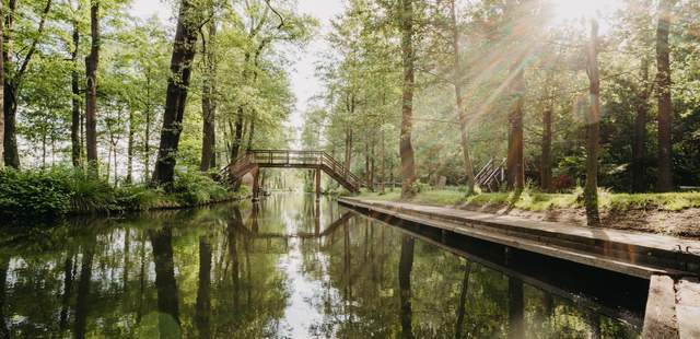 Klassiker Spreewald - Lehde