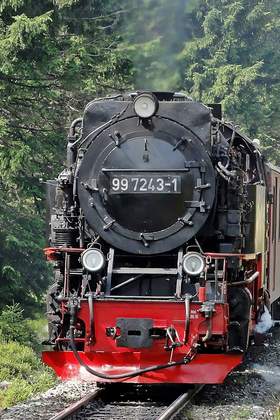 Gruppenreise in den Harz