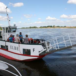 Ein fröhliches Wochenende an der Elbe