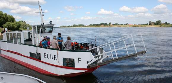 Ein fröhliches Wochenende an der Elbe