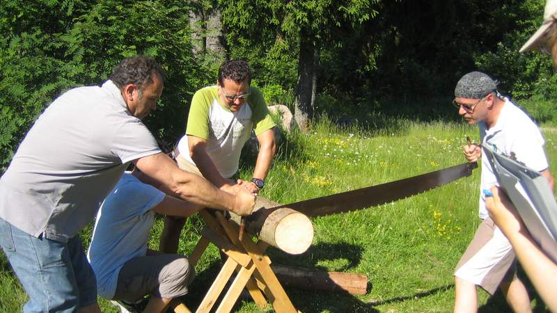 erlebnisreiche Spiele bei Team-Olympiaden, Teamevents im Schwarzwald