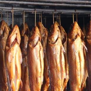 Mecklenburger Fischtag