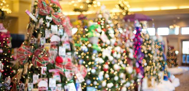 Weihnachtsbaum schlagen und dekorieren Weihnachtsfeier, Firmenfeier, Event, Teambuilding, Weihnachtsbaum schlagen und dekorieren