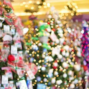 Weihnachtsfeier, Firmenfeier, Event, Teambuilding, Weihnachtsbaum schlagen und dekorieren