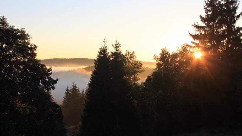 Waldbaden