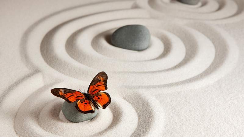 Qi Gong für einen gesunden Rücken Qi Gong für einen gesunden Rücken