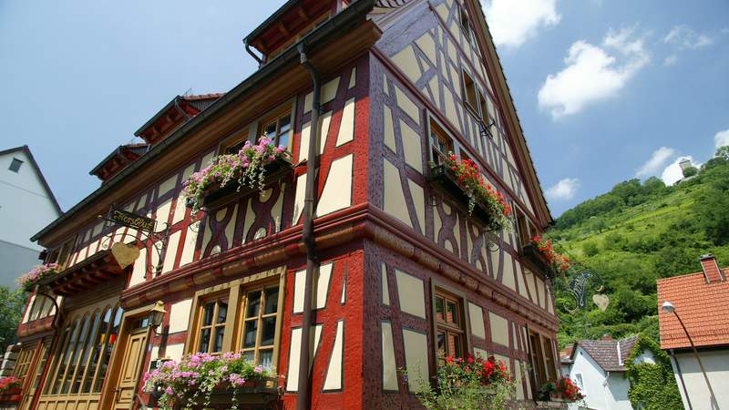 Weinwandern im Odenwald