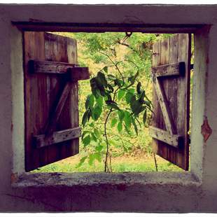 Bauernhof Fenster Stall