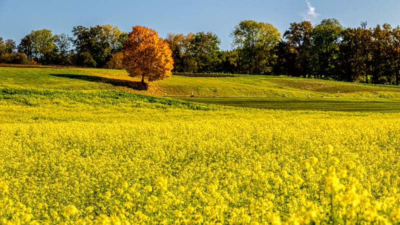 Genuss-Tour zu Erzeugern im Erdinger Land