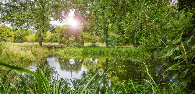 Teich am Linslerhof Tagungsangebot "Landleben"
