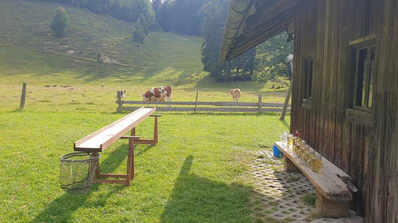 Bayerischer Teamtag auf der Alm