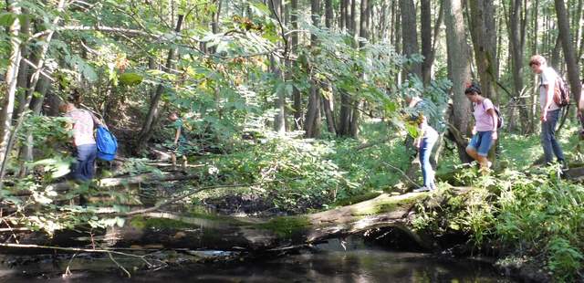 Survival Triathlon Baumbrücke Teamevent in Lübz Teamevent Triathlon Rad, Kanu, Lost Place