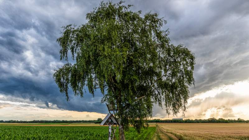 Genuss-Tour zu Erzeugern im Erdinger Land
