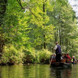 Betriebsausflug in den Spreewald