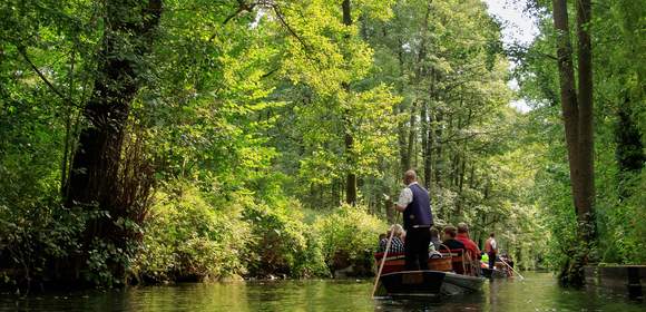 Betriebsausflug in den Spreewald