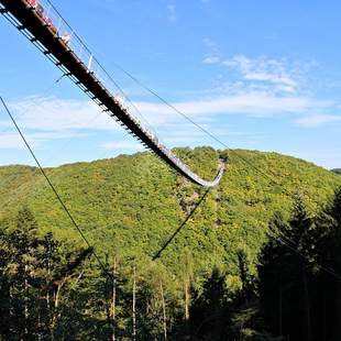 Brücke & Bogen: Hängebrücke & Bogenschiessen